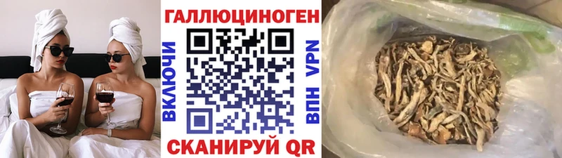 Галлюциногенные грибы Cubensis  OMG онион  Новотроицк 