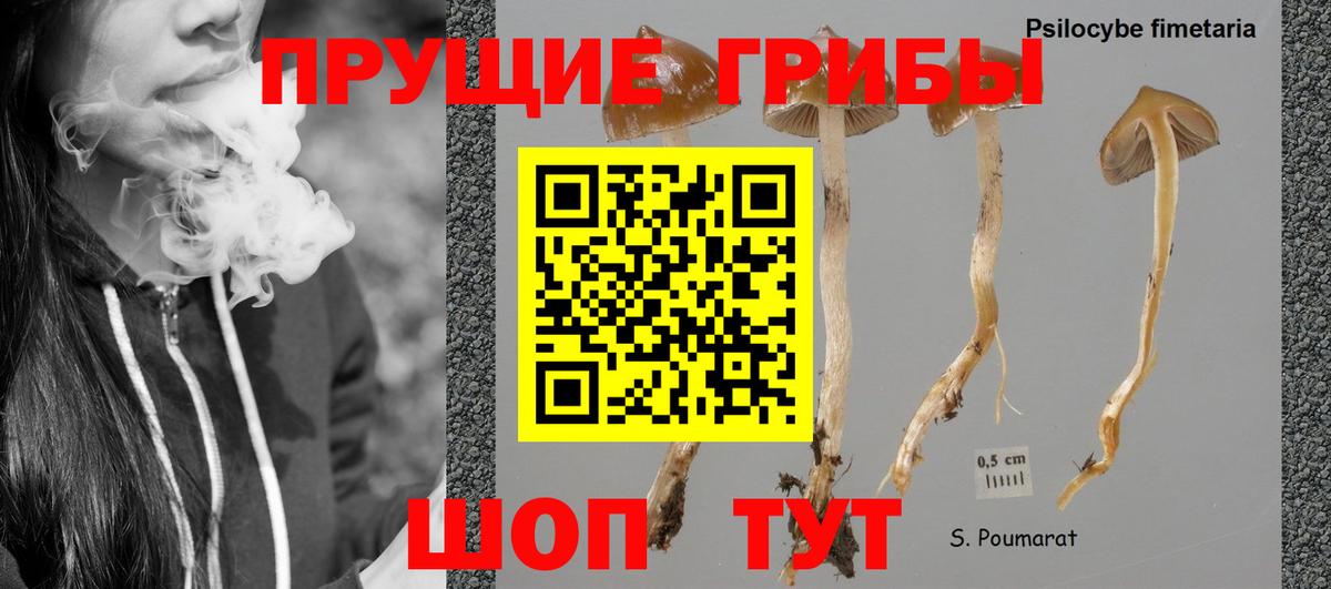 Новотроицк  Галлюциногенные грибы GOLDEN TEACHER  Вход с VPN 