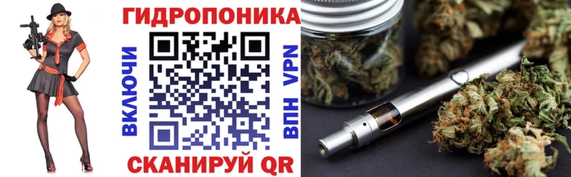 дарнет шоп  Новотроицк  Канабис индика 