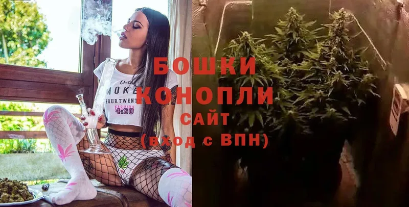 mega   купить наркотики цена  Новотроицк  Марихуана OG Kush 